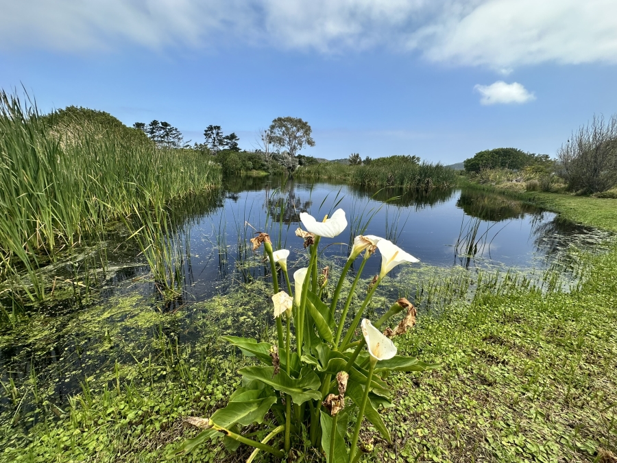 2 Bedroom Property for Sale in Montage Western Cape